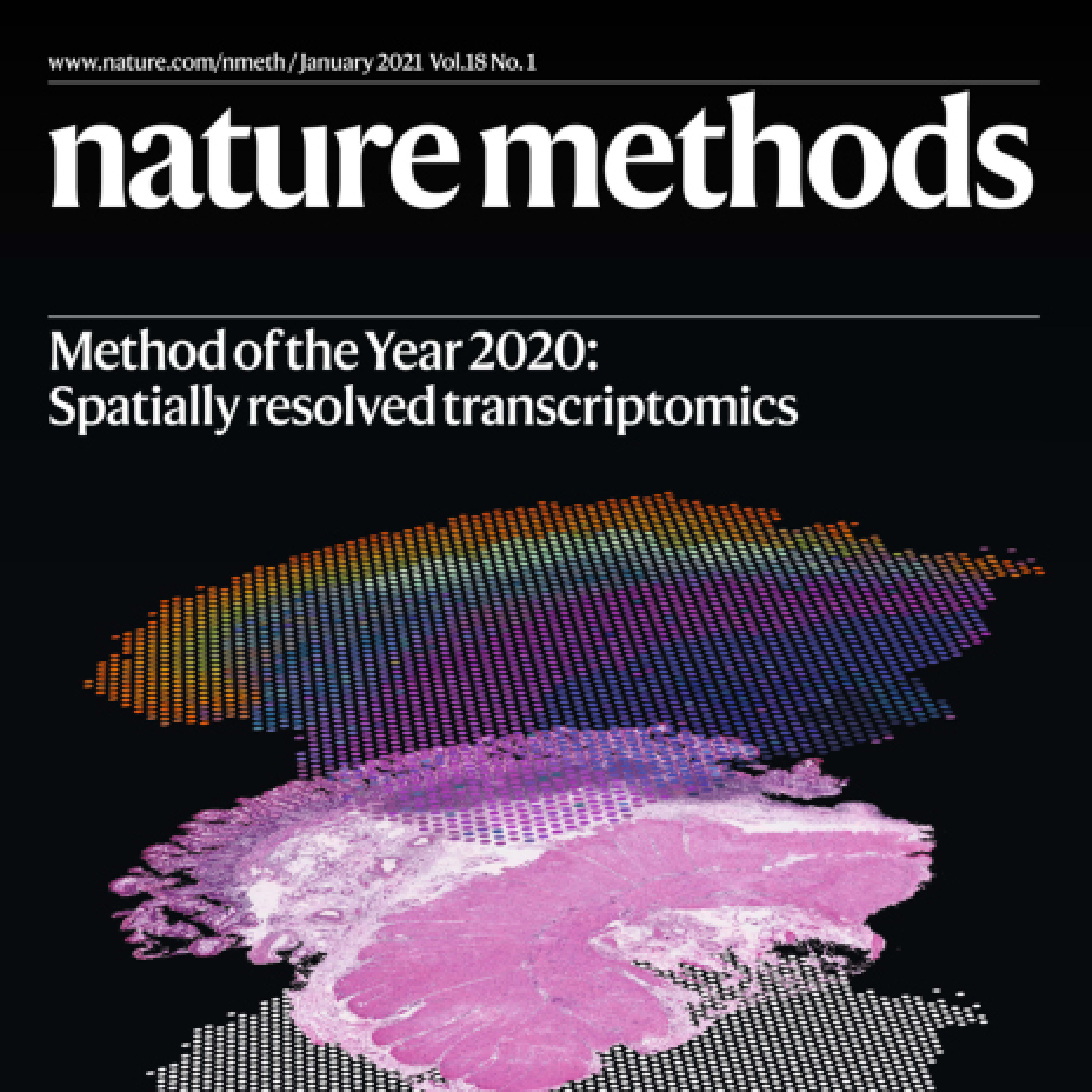 Spatially resolved transcriptomics: advances and applications