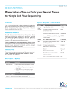 CG00055_Demonstrated_Protocol_Dissociation_Mouse_Neural_Tissue_Rev C.pdf