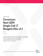 CG000204_ChromiumNextGEMSingleCell3'v3.1_Rev D.pdf