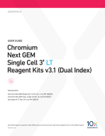 CG000399_ChromiumNextGEMSingleCell3'_LT_v3.1_RevB.pdf