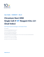 CG000417_Chromium_NextGEM_SingleCell3- HT v3.1_GeneExp_CSP_RevD.pdf
