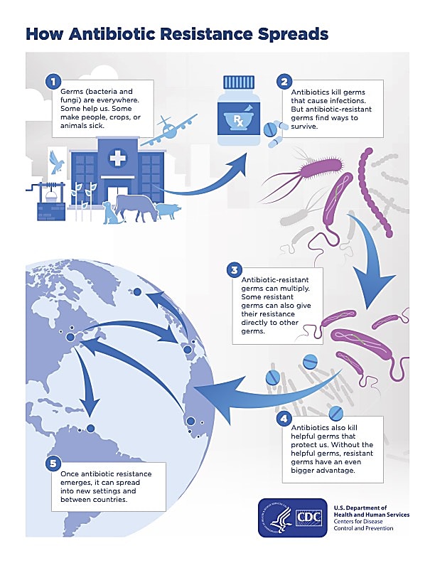 A fact sheet that describes how antibiotic resistance spreads. CREDIT: Centers for Disease Control and Prevention (2022). https://www.cdc.gov/drugresistance/about/how-resistance-happens.html