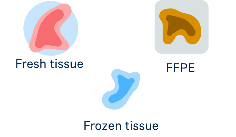 Use fresh, frozen, or fixed samples—even FFPE samples
