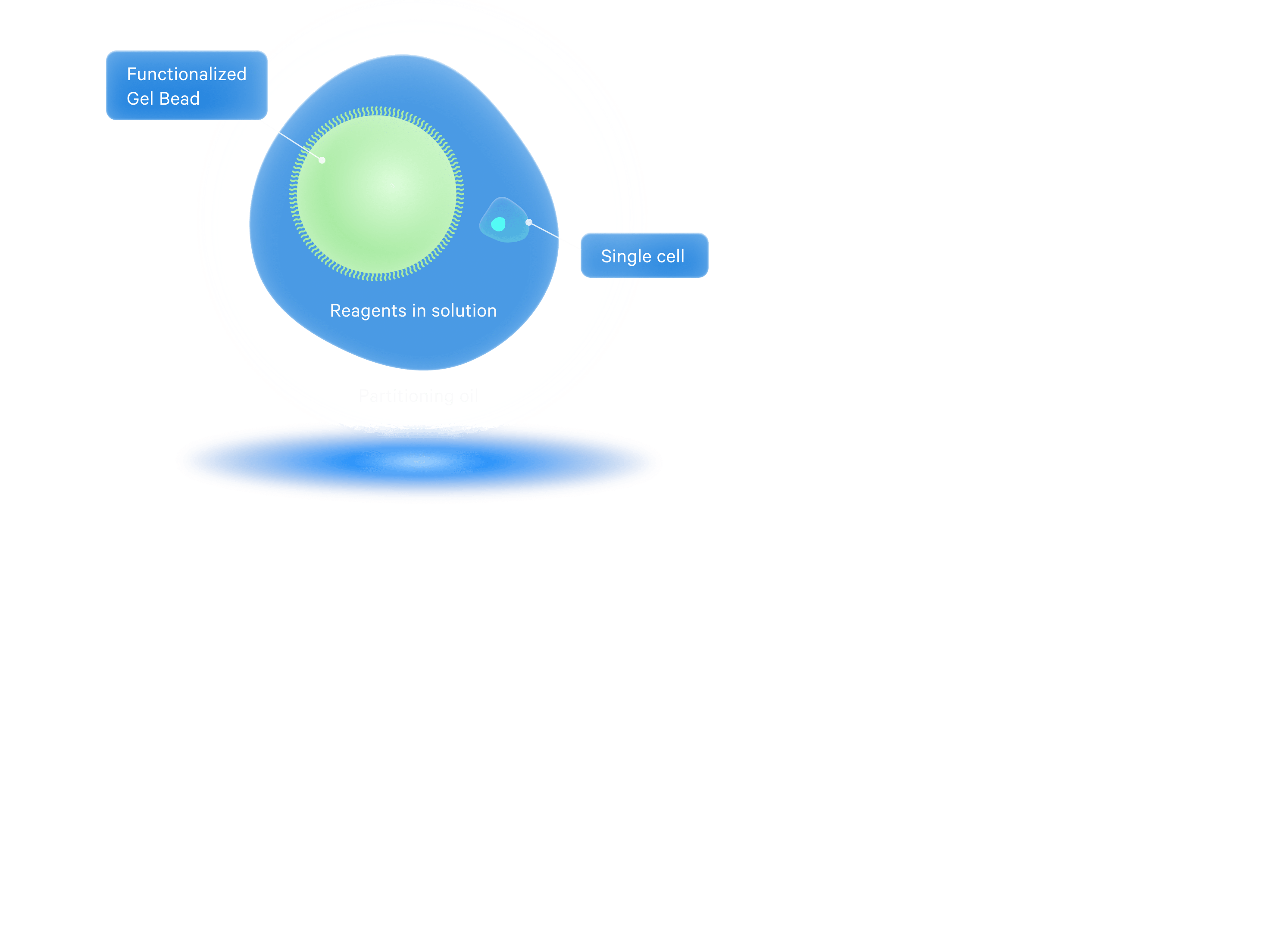 Chromium Technology