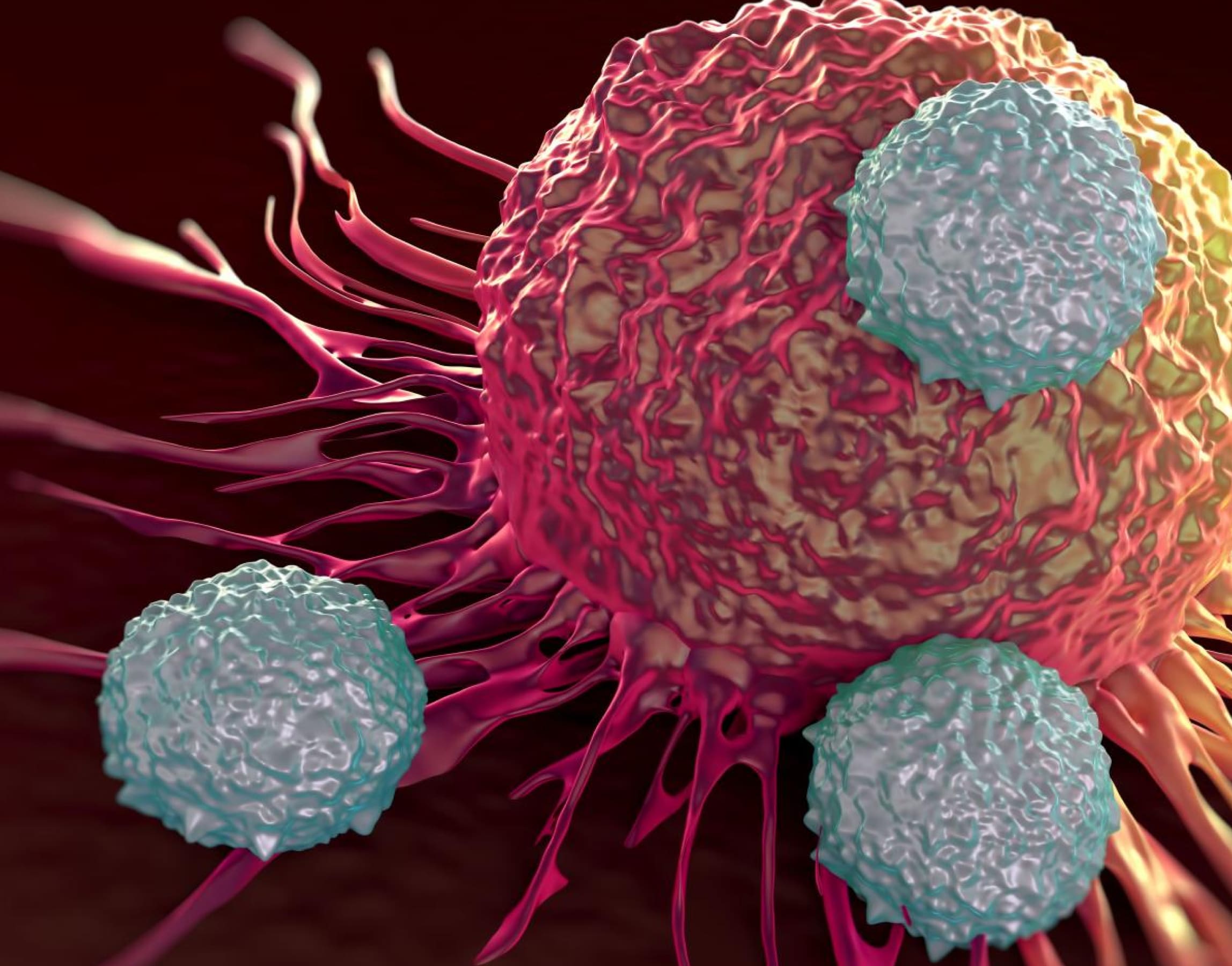 Oncology
