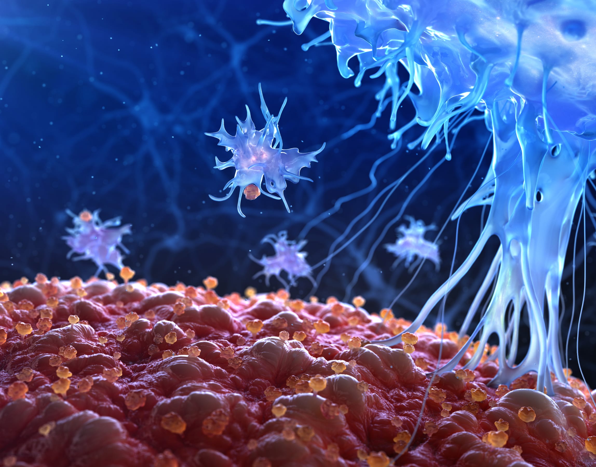 Immunology