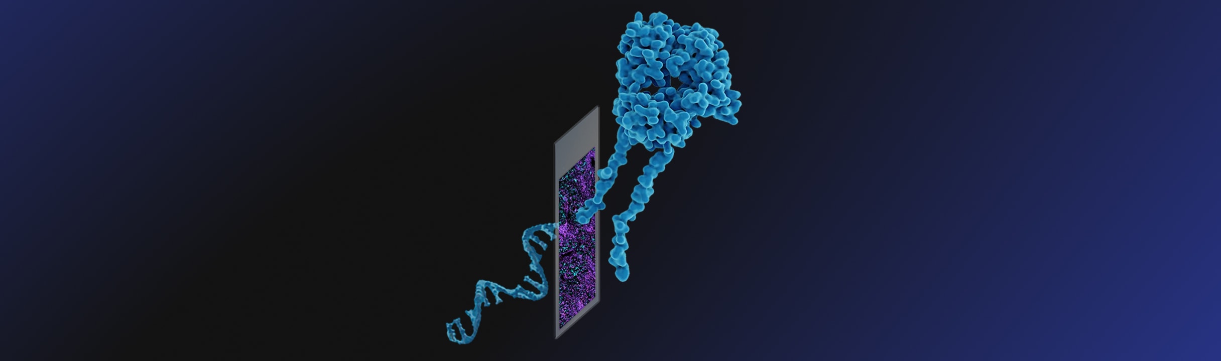 Xenium Protein