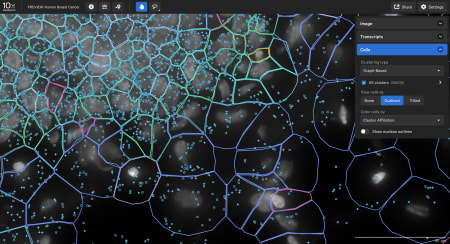Screenshot of the Xenium Explorer in situ visualization software
