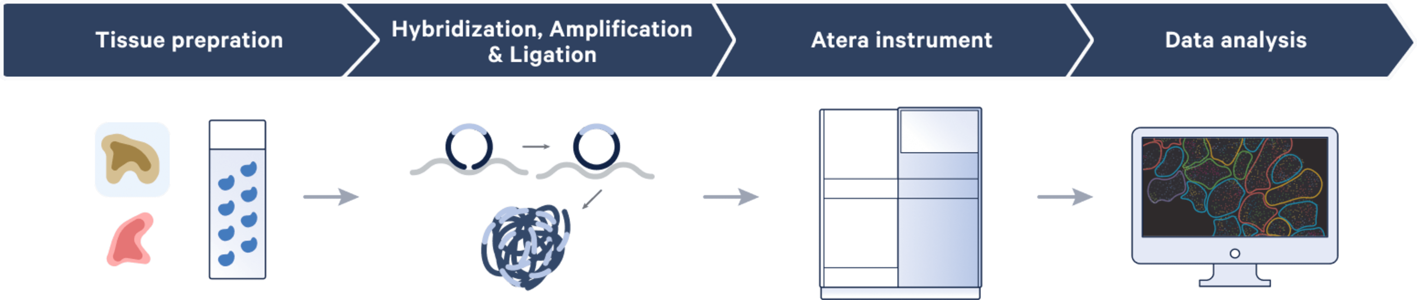 Atera workflow overview diagram