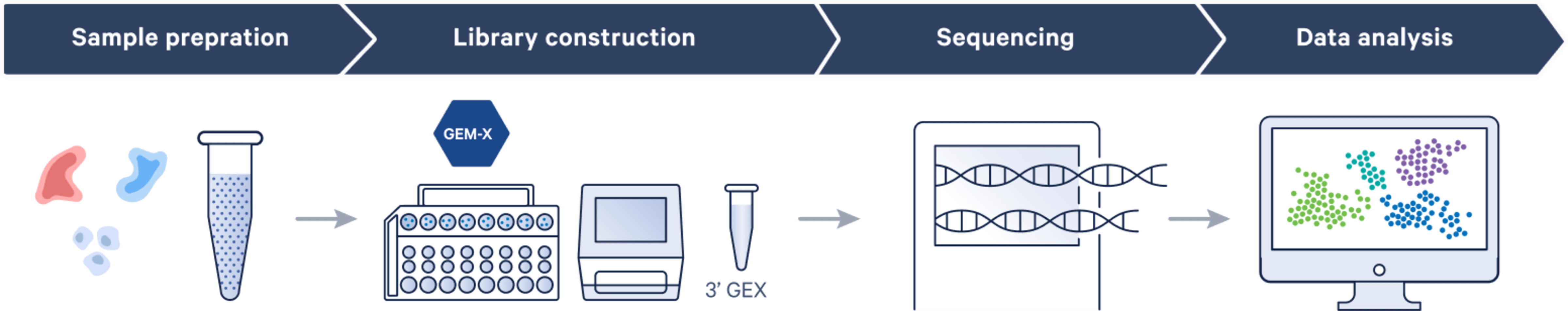 Universal 3' Gene Expression workflow, from experimental design through data analysis