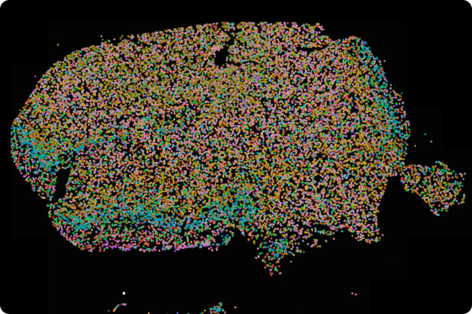 https://cdn.10xgenomics.com/image/upload/f_auto,q_auto,w_340,dpr_2.0/v1688599878/products/Xenium/predesigned-panels-human-brain.jpg