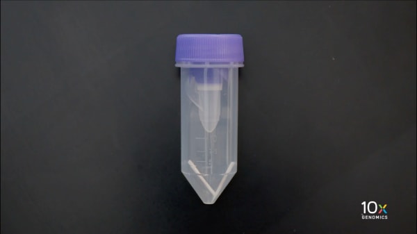 Chromium Next GEM Single Cell Isolation from FFPE Sections video