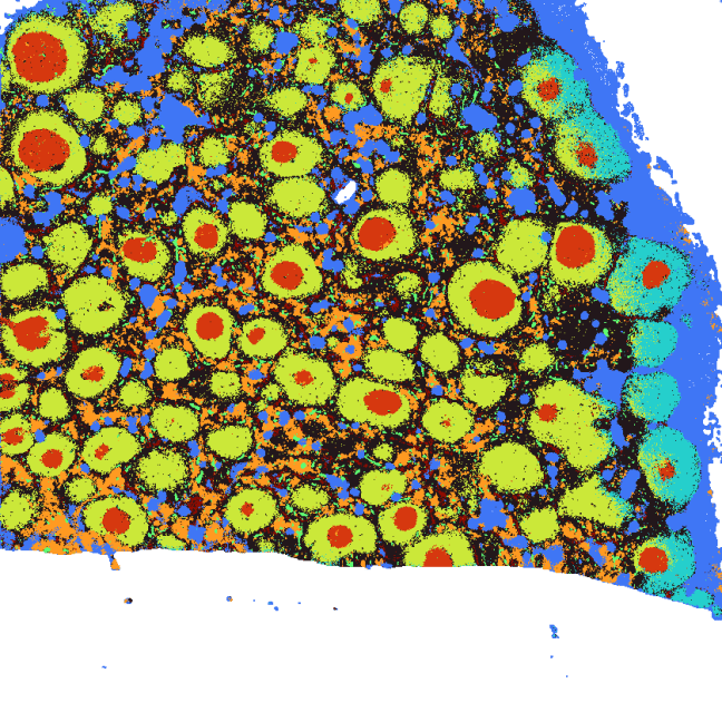Datasets