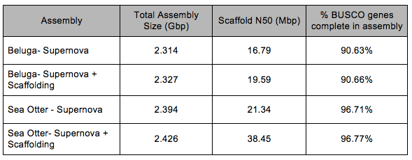 Table 1- Summary of assembly statistics for Beluga Whale and Northern Sea Otter