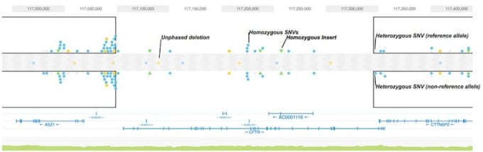 Loupe 2.1 haplotype view