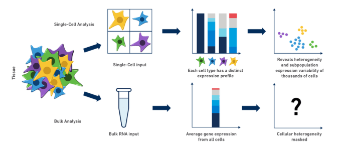 Figure 1. Single-cell RNA-seq reveals cellular heterogeneity that is masked by bulk RNA-seq methods.