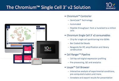 Single cell training, chapter 1