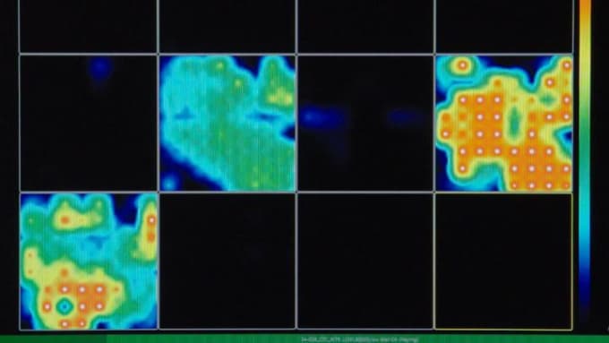 Brain organoids with neural network activity. This activity map generated by multi-electrode arrays reveals how active the brain organoid is--red means very active and black means silent. CREDIT: Muotri Lab/UCTV