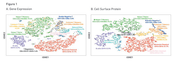 Figure 1. t-Distributed Stochastic Neighbor Embedding (tSNE) projections of ~8000 peripheral blood mononuclear cells (PBMCs), using the Single Cell Gene Expression Solution (A, B). Every dot is a single cell and cells are clustered together based on their gene expression and/or protein expression profiles. Cell annotation was performed manually by reviewing the highly expressed genes/proteins in each cluster and assigning a cell type based on the published literature. CREDIT: 10x Genomics, LIT000046 RevA Immunology Capabilities Brochure