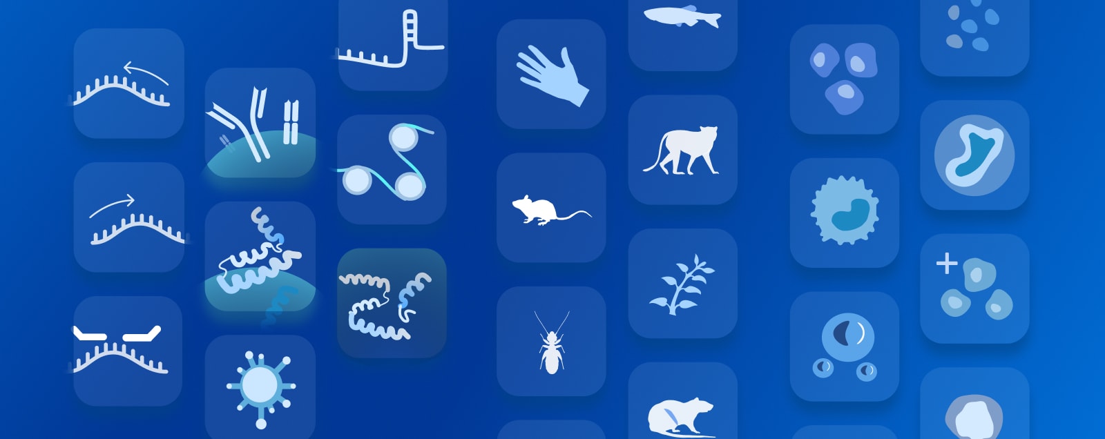 Assays