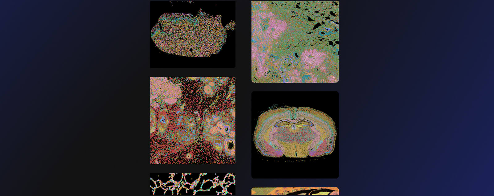 Assays