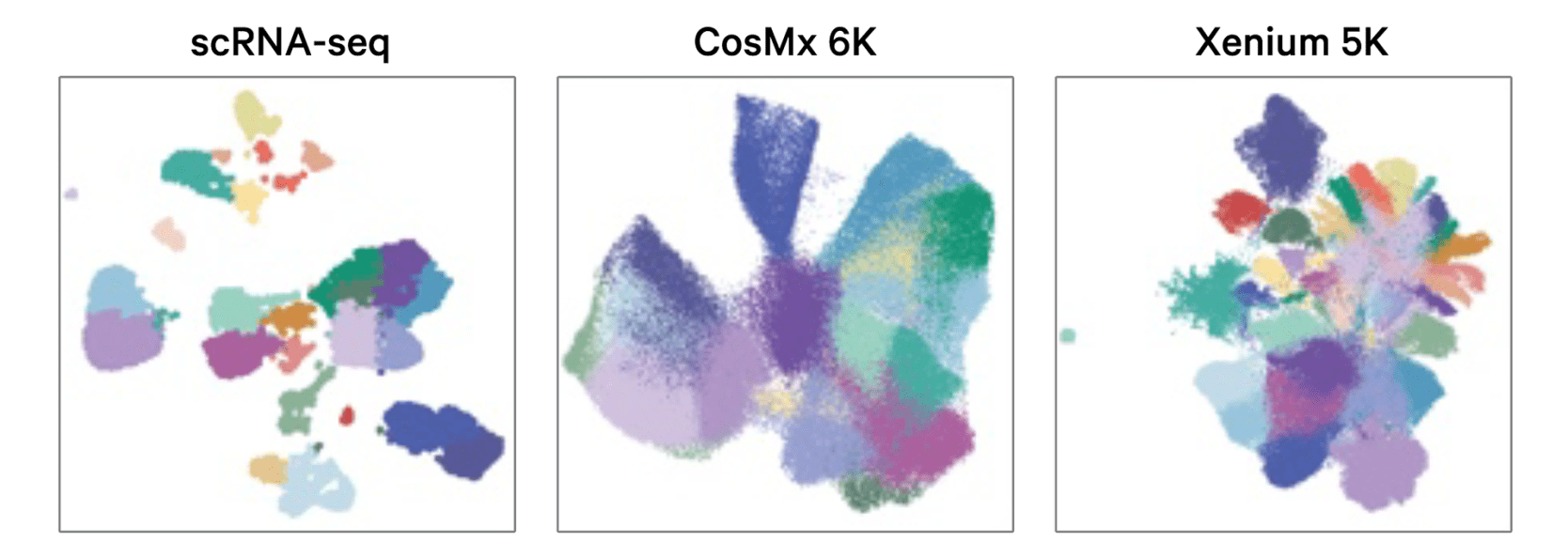Xenium expressive cell type patterns