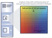 Continuous lawn of 2 μm x 2 μm barcoded squares for single cell–scale resolution