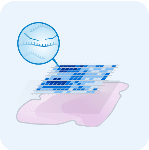 Xenium Protein graphic