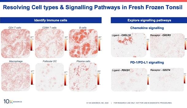 https://cdn.10xgenomics.com/image/upload/f_auto,q_auto/v1/products/Visium%20HD/Resources/launch-webinar