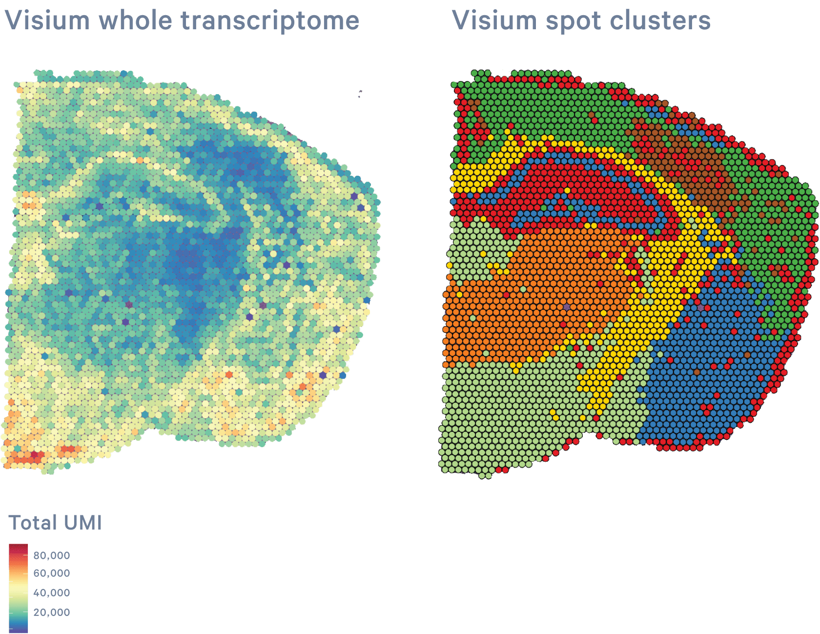 Datasets