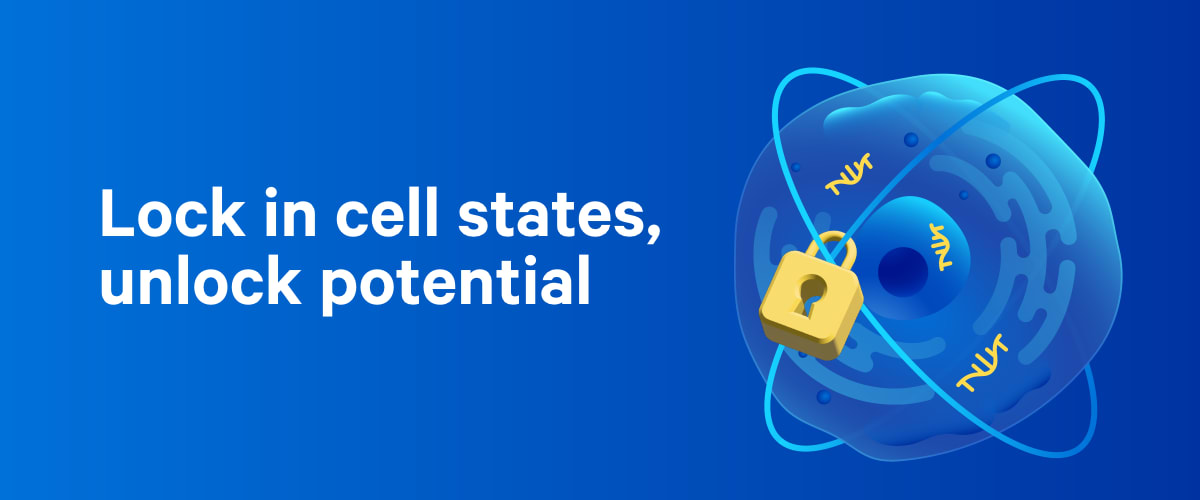 Single Cell Fixed RNA Profiling illustrated locked cell logo with tagline 'Lock in cell states, unlock potential'