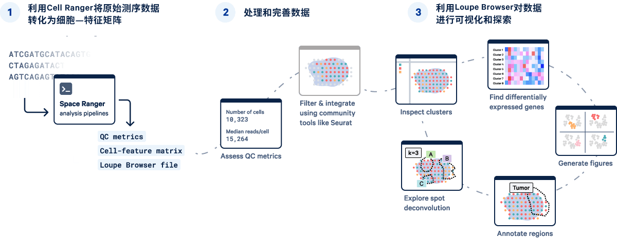 Chromium analysis single cell