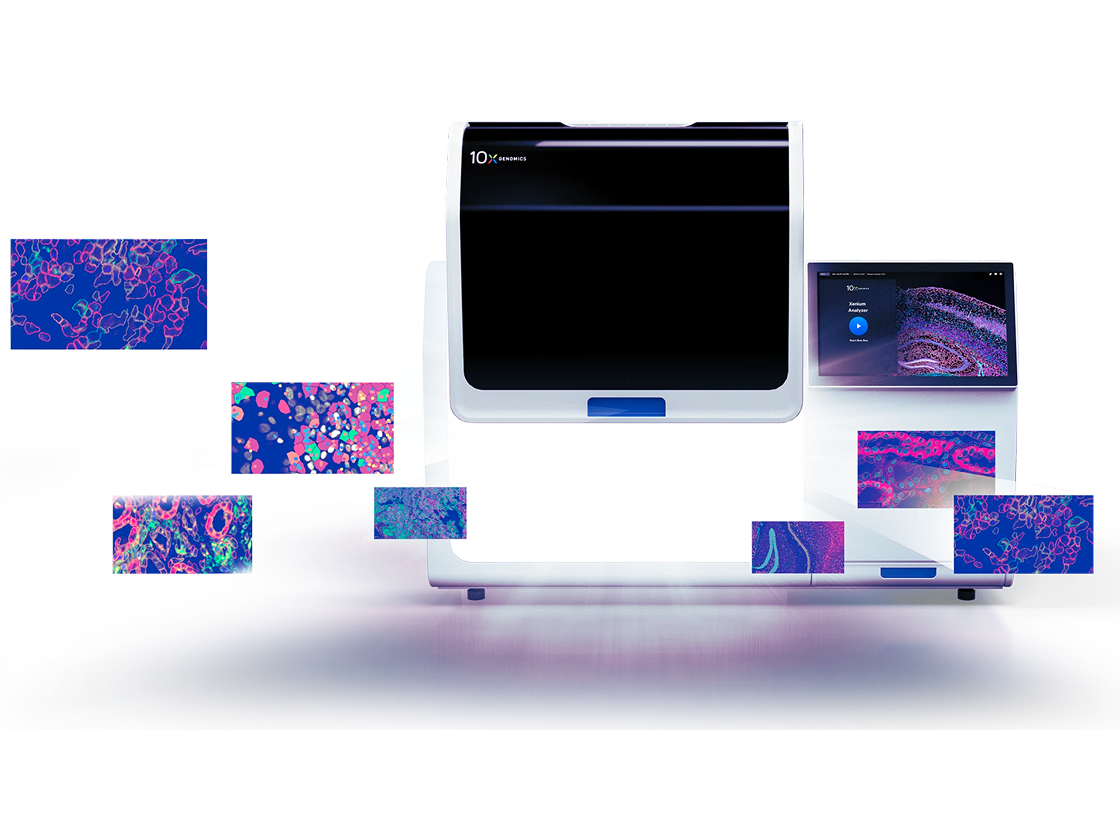 Xenium Advantage | 10x Genomics