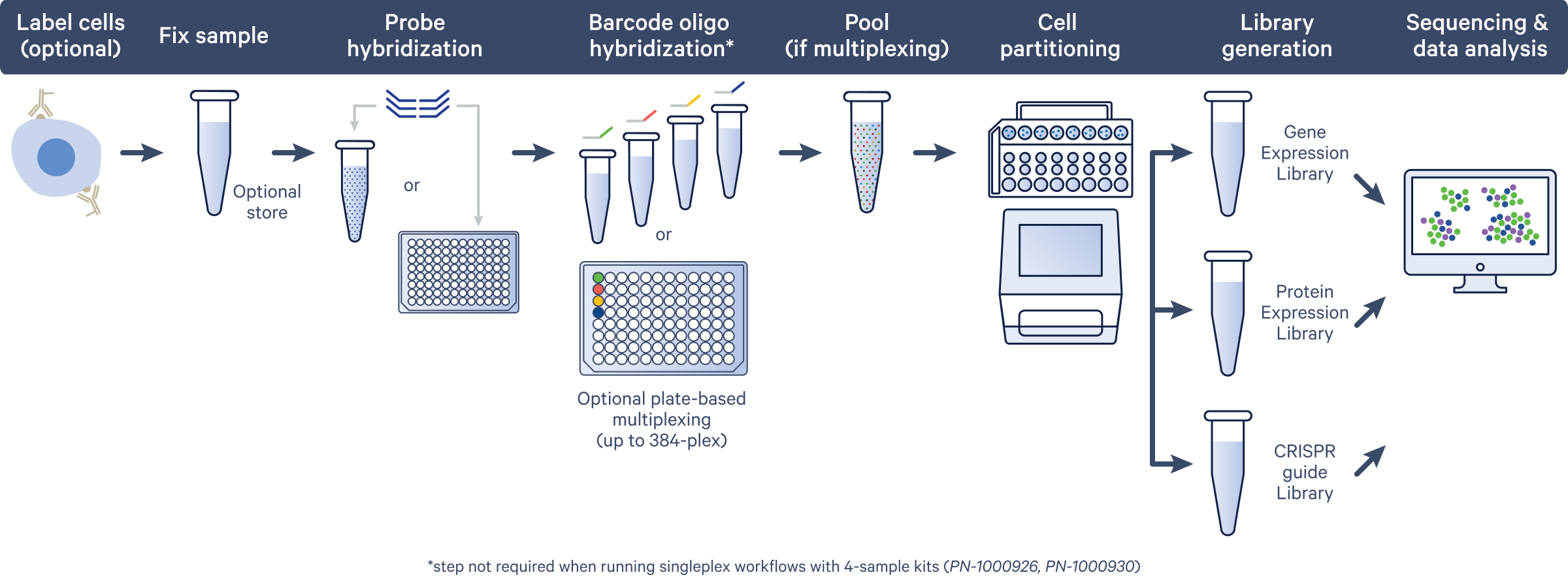 Workflow overview image