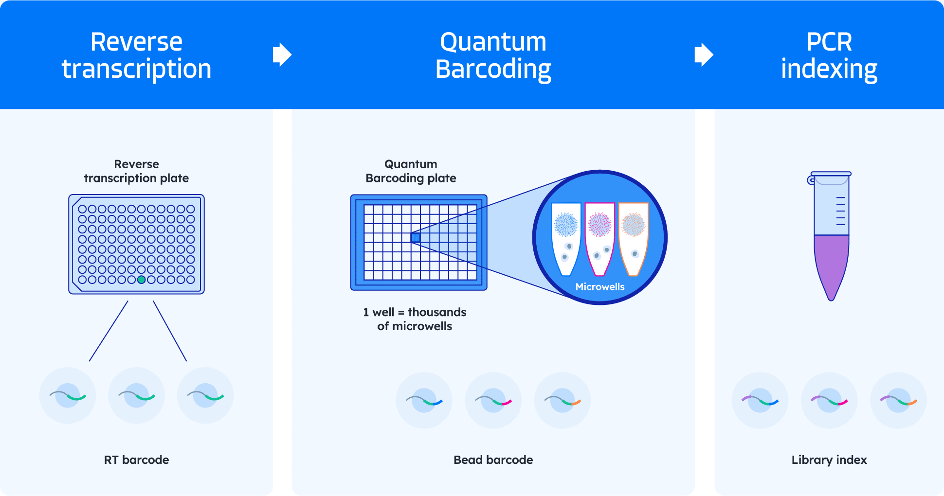 Quantum Barcoding technology diagram
