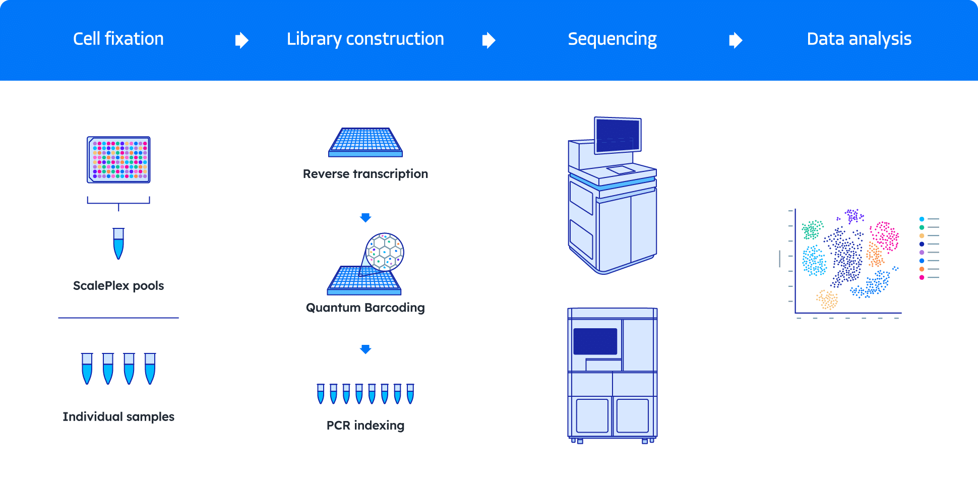 QuantumScale Single Cell RNA workflow
