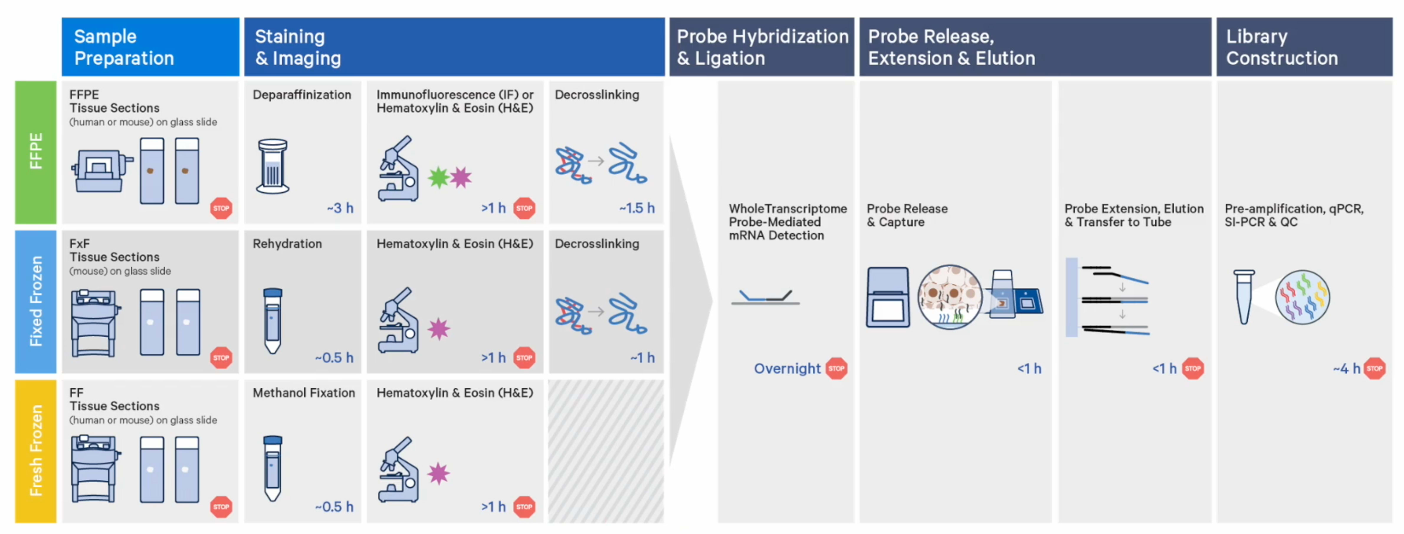 Comparison of FFPE, fixed frozen, and fresh frozen sample preparation workflows for Visium CytAssist Spatial Gene Expression.