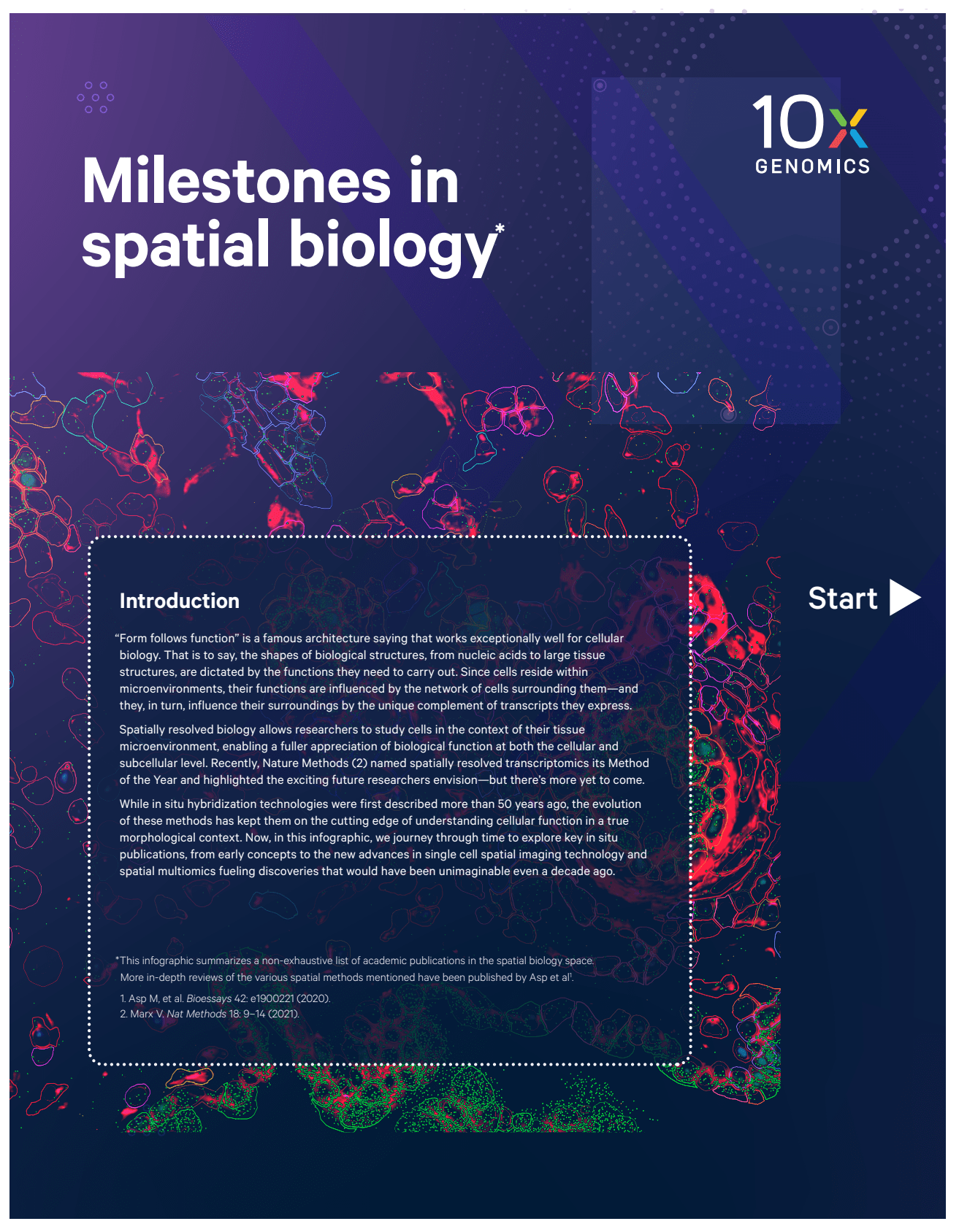 Infographic: Milestones in spatial biology
