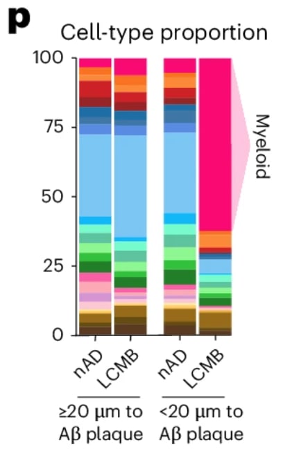 Figure 6. Cell-type composition depends on proximity to amyloid plaques. Immunized (LCMB) patients with Alzheimer’s disease showed a significant increase in myeloid cells in close proximity to amyloid plaques. Human FFPE brain sections were analyzed with the Visium HD assay. Image adapted from Figure 5P of van Olst et al. 2025 (5) (CC-BY-4.0).