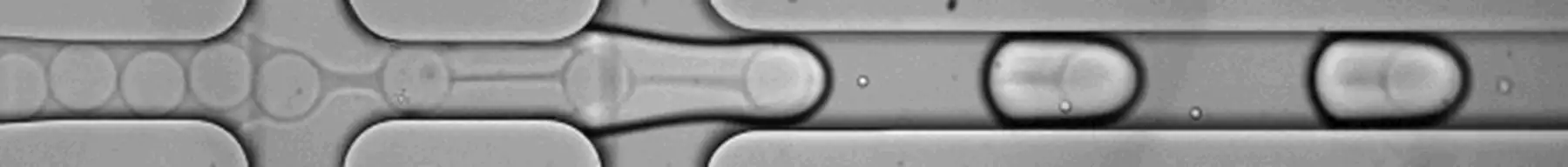 Figure 4. Cell partitioning and GEM generation within a GEM-X microfluidic chip.