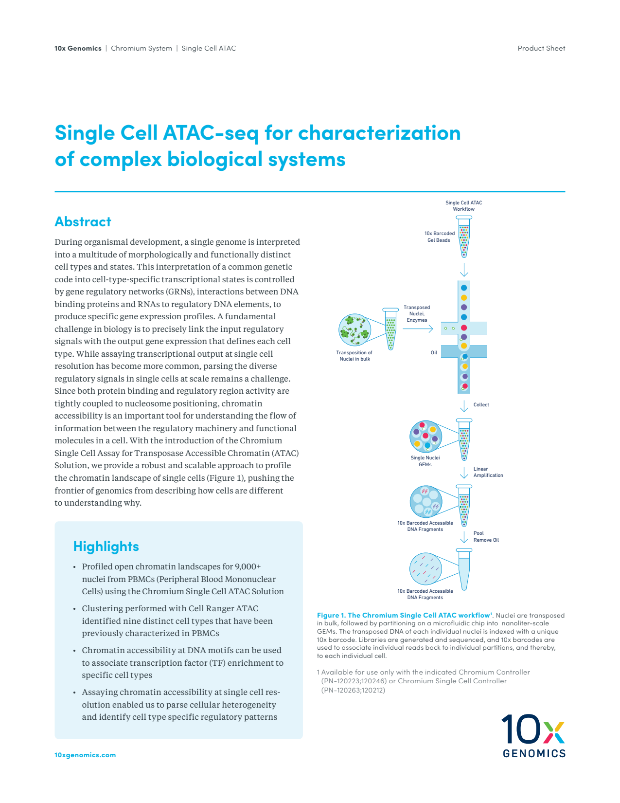 Single Cell ATAC-Seq for Characterization of Complex Biological Systems