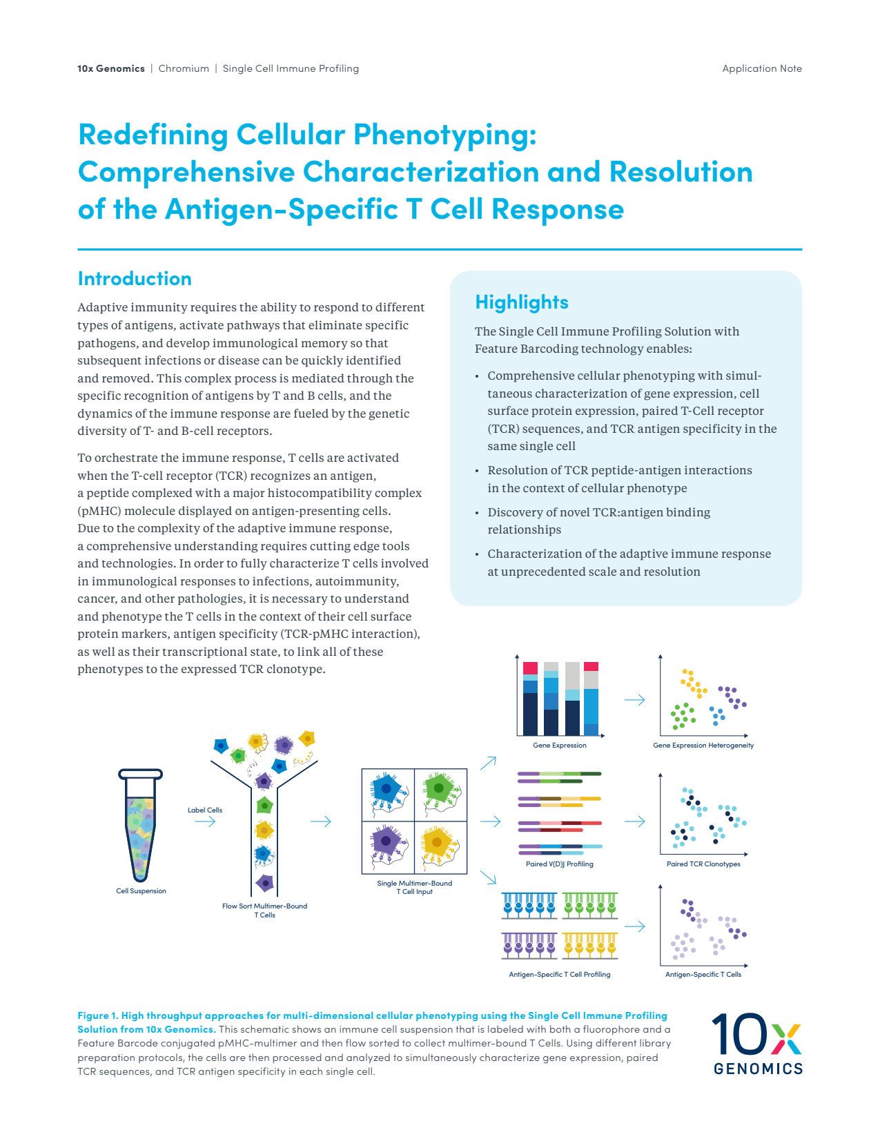 Redefining Cellular Phenotyping: Comprehensive Characterization and Resolution of the Antigen-Specific T Cell Response