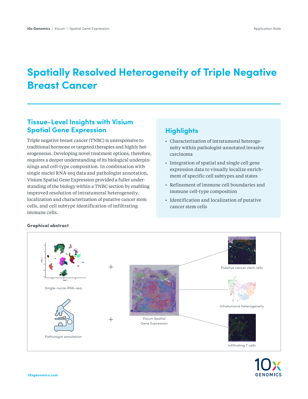 Spatially Resolved Heterogeneity of Triple Negative Breast Cancer