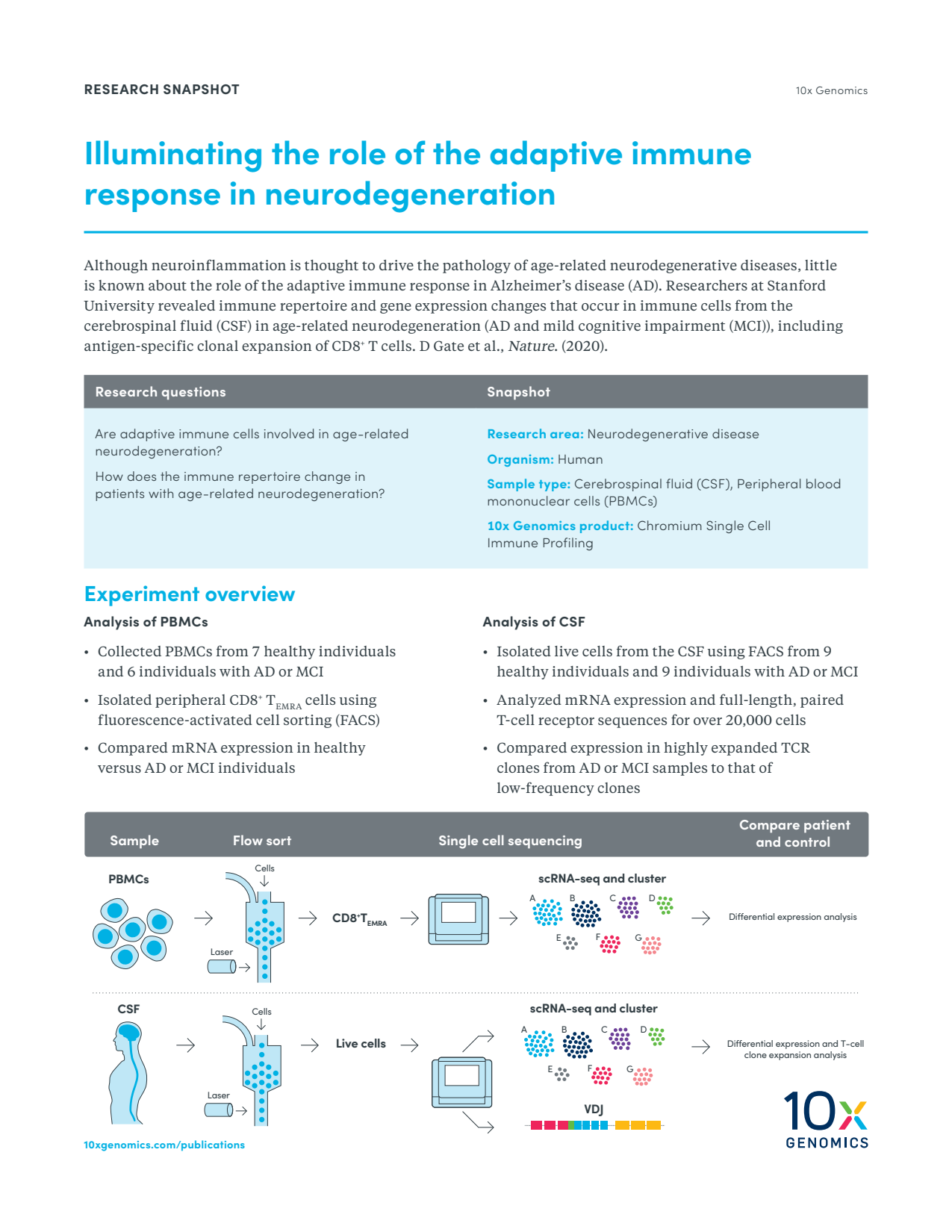 Illuminating the role of the adaptive immune response in neurodegeneration