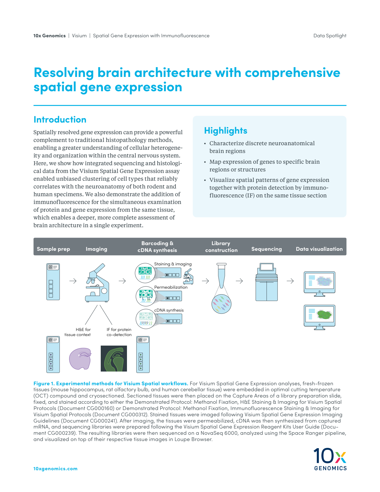 Resolving brain architecture with comprehensive spatial gene expression