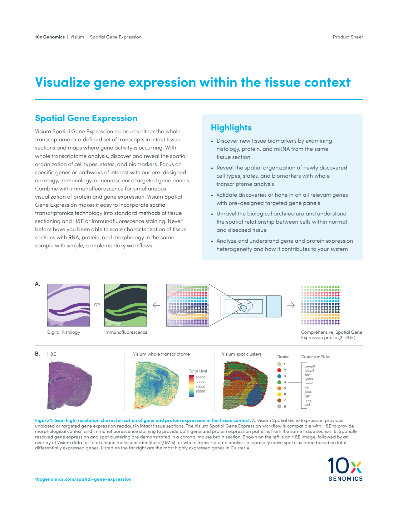 Visium Spatial Gene Expression Product Sheet