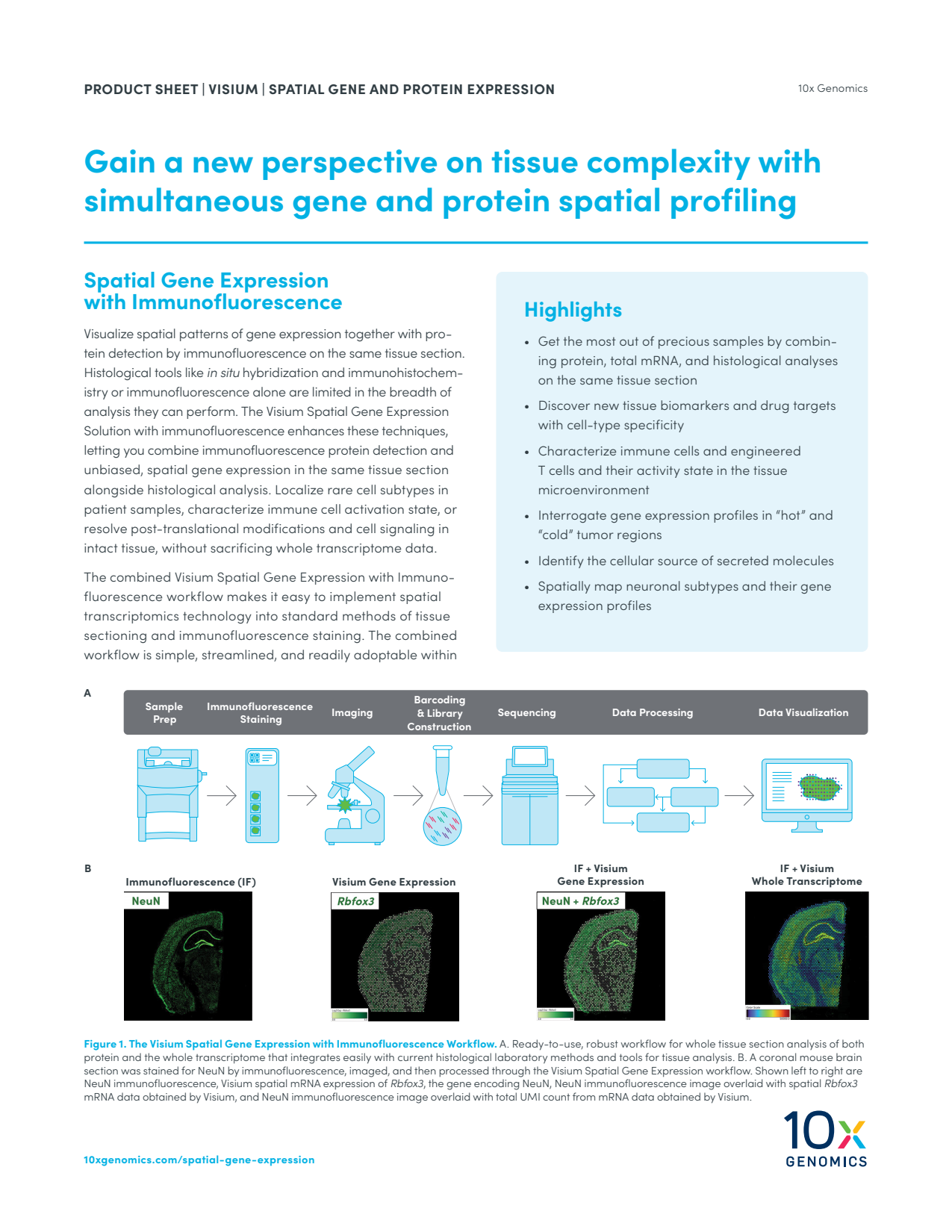 Visium Spatial Gene and Protein Expression Product Sheet