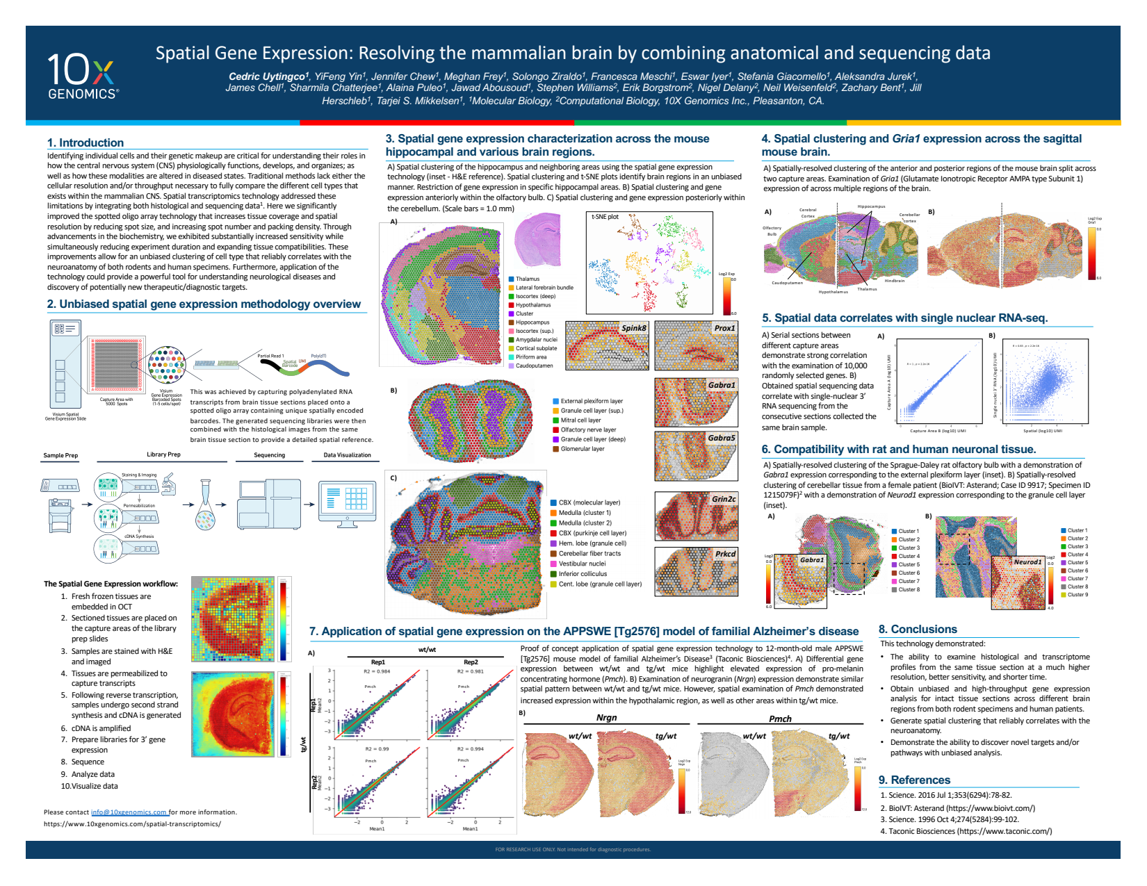 Spatial Gene Expression: Resolving the mammalian brain by combining anatomical and sequencing data