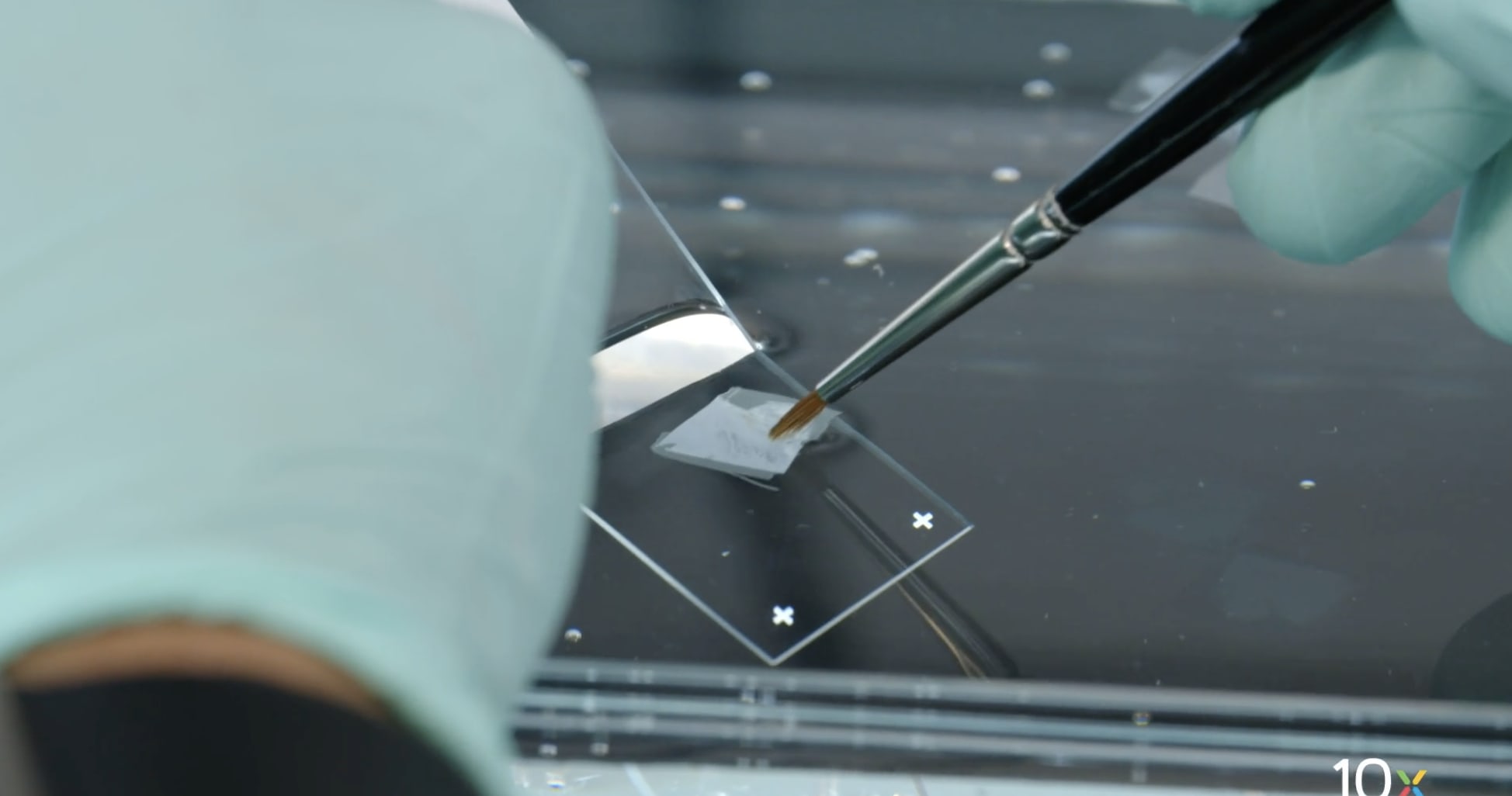 Tissue Preparation Guide video