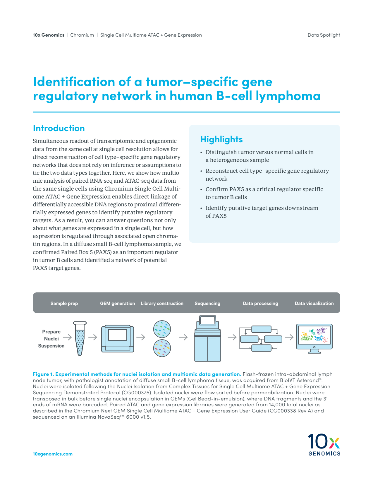 Identification of a tumor–specific gene regulatory network in human B-cell lymphoma